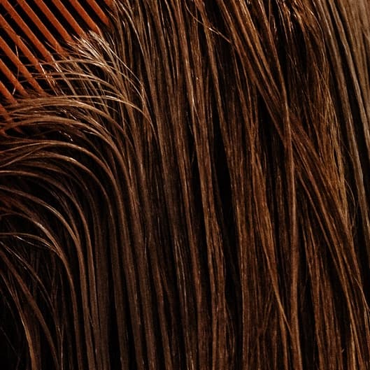 Brazilian Blowout- Summer Special! at Octofinity Salon in Waynesville, NC